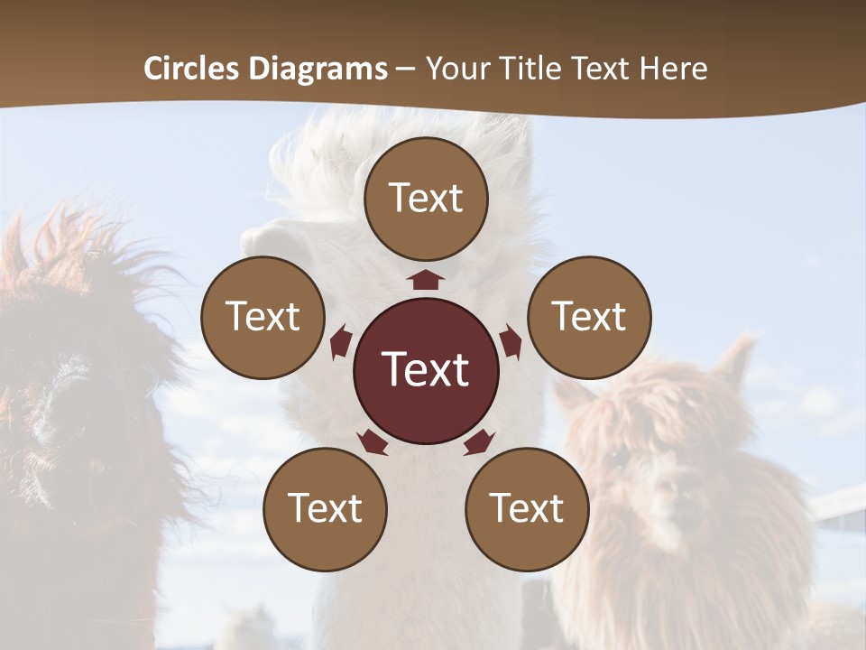 Color Day Cuddly PowerPoint Template