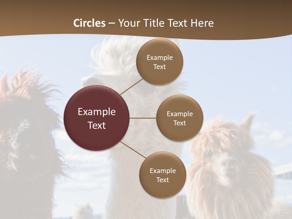 Color Day Cuddly PowerPoint Template