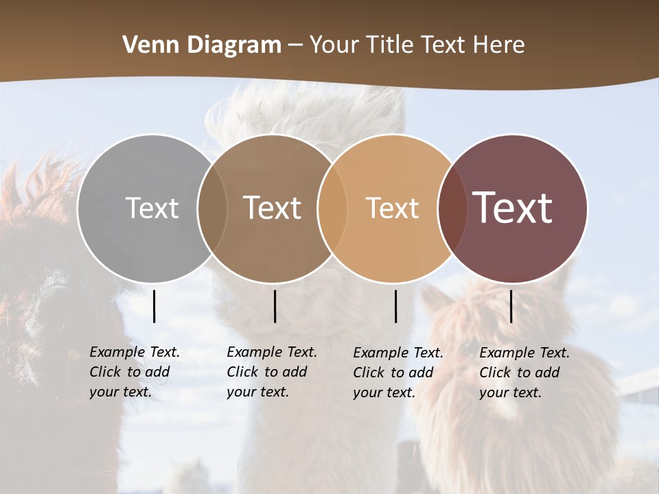 Color Day Cuddly PowerPoint Template