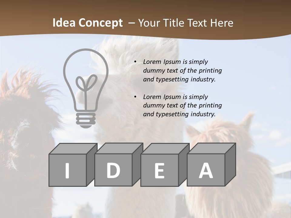 Color Day Cuddly PowerPoint Template