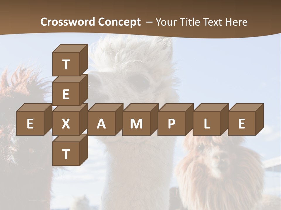 Color Day Cuddly PowerPoint Template