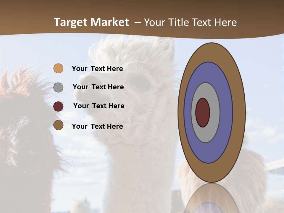 Color Day Cuddly PowerPoint Template