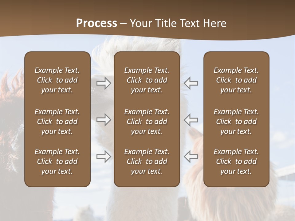 Color Day Cuddly PowerPoint Template