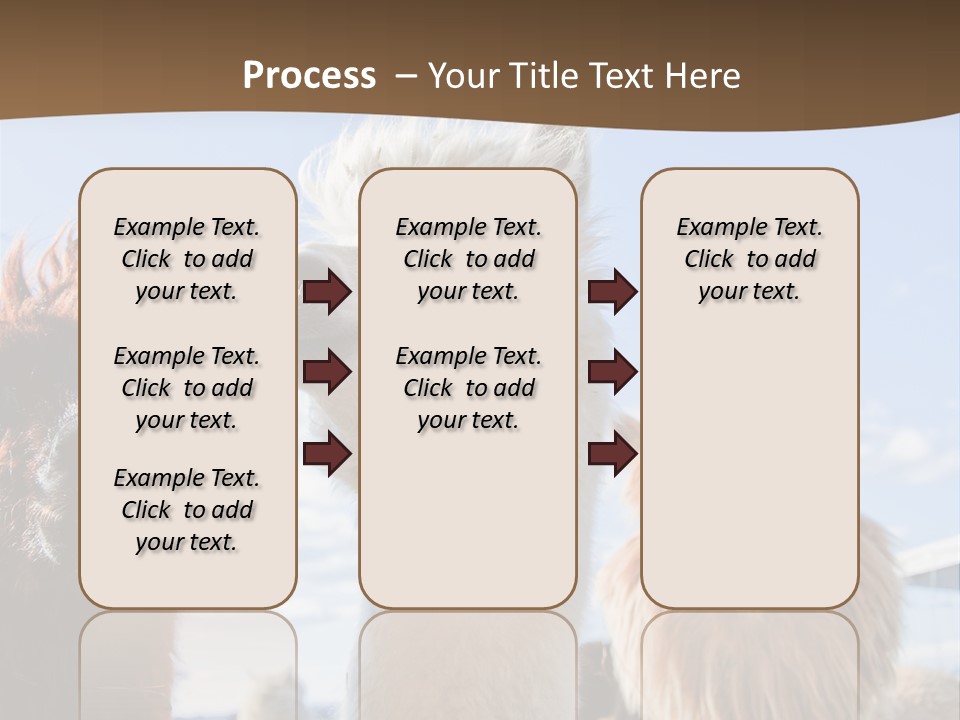 Color Day Cuddly PowerPoint Template