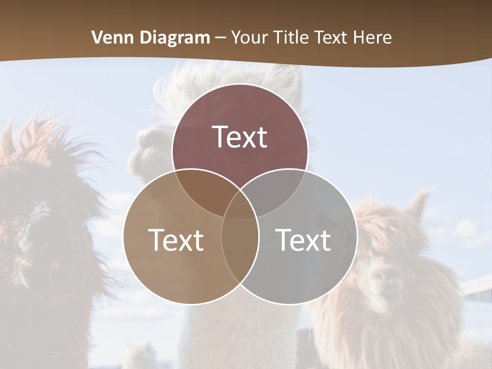 Color Day Cuddly PowerPoint Template