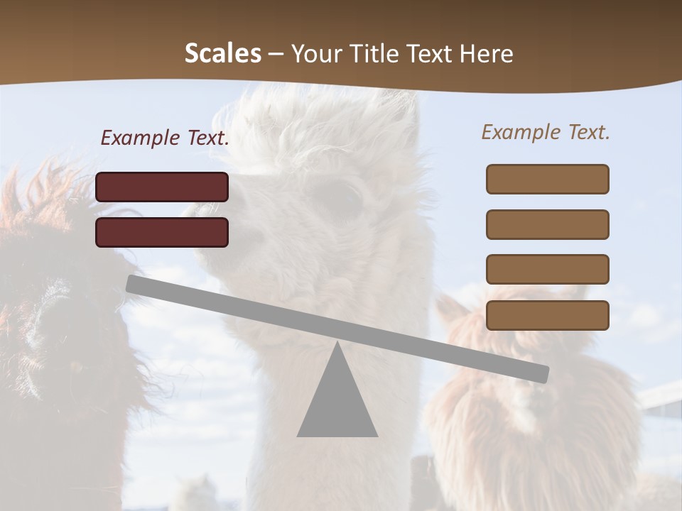 Color Day Cuddly PowerPoint Template