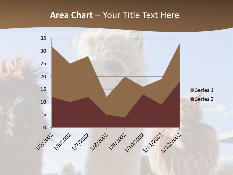 Color Day Cuddly PowerPoint Template