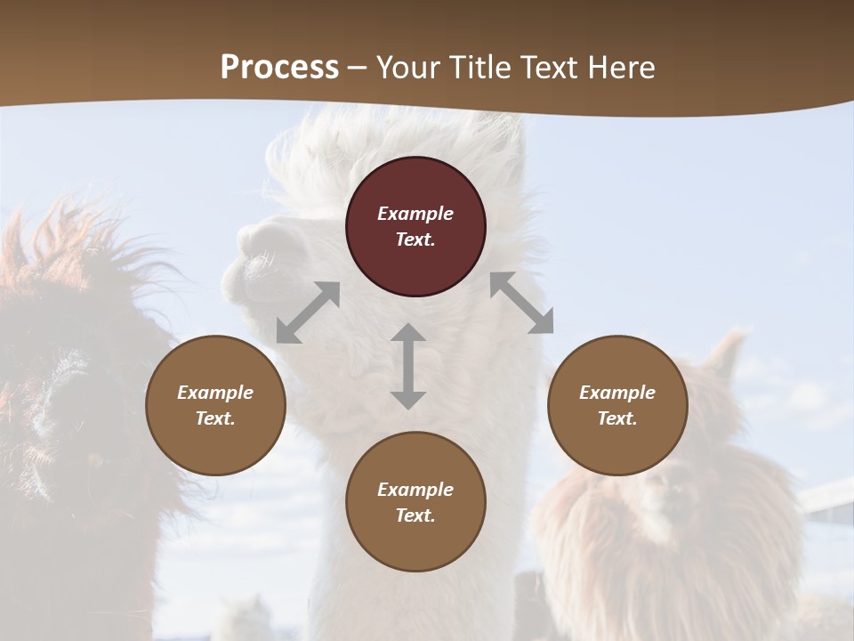 Color Day Cuddly PowerPoint Template