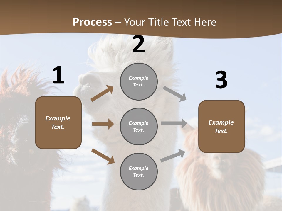 Color Day Cuddly PowerPoint Template