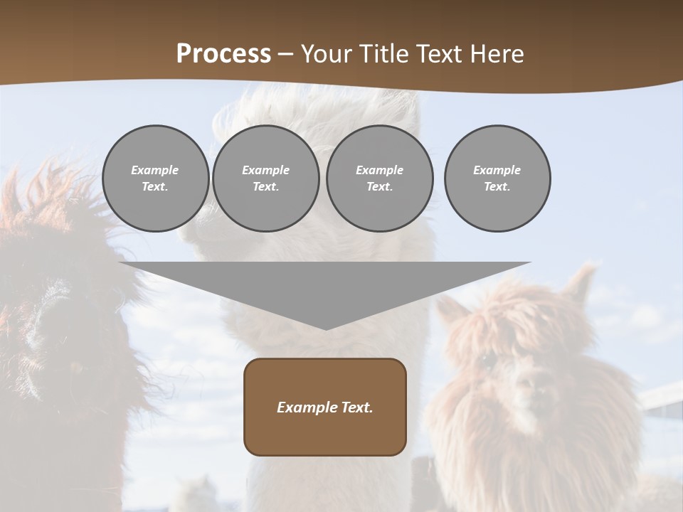 Color Day Cuddly PowerPoint Template