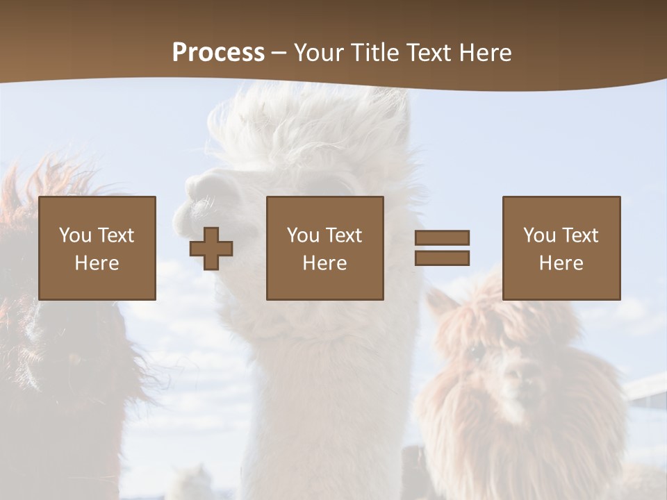 Color Day Cuddly PowerPoint Template