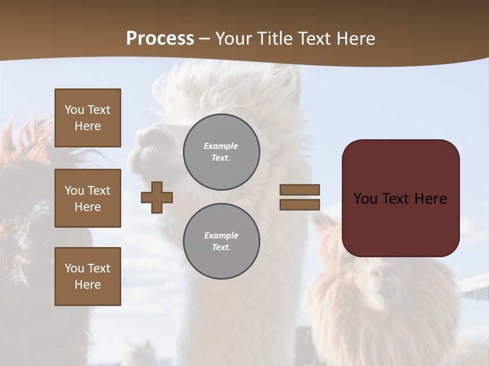 Color Day Cuddly PowerPoint Template