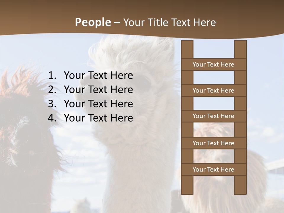 Color Day Cuddly PowerPoint Template