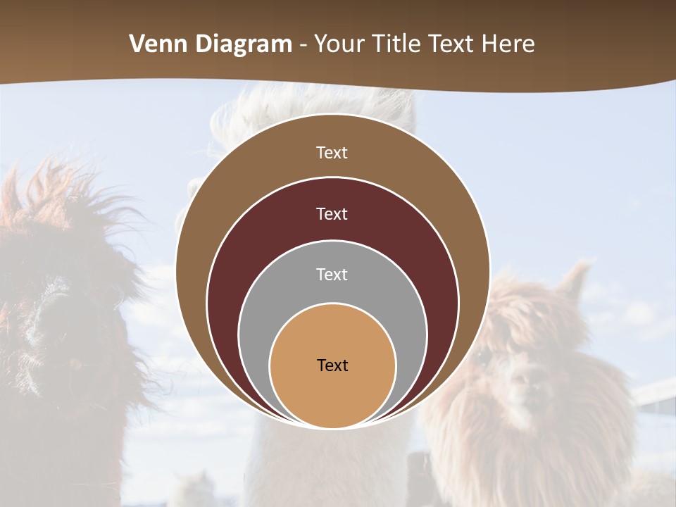 Color Day Cuddly PowerPoint Template