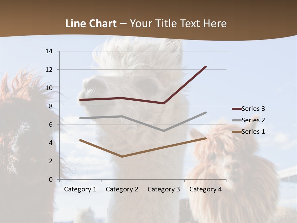 Color Day Cuddly PowerPoint Template