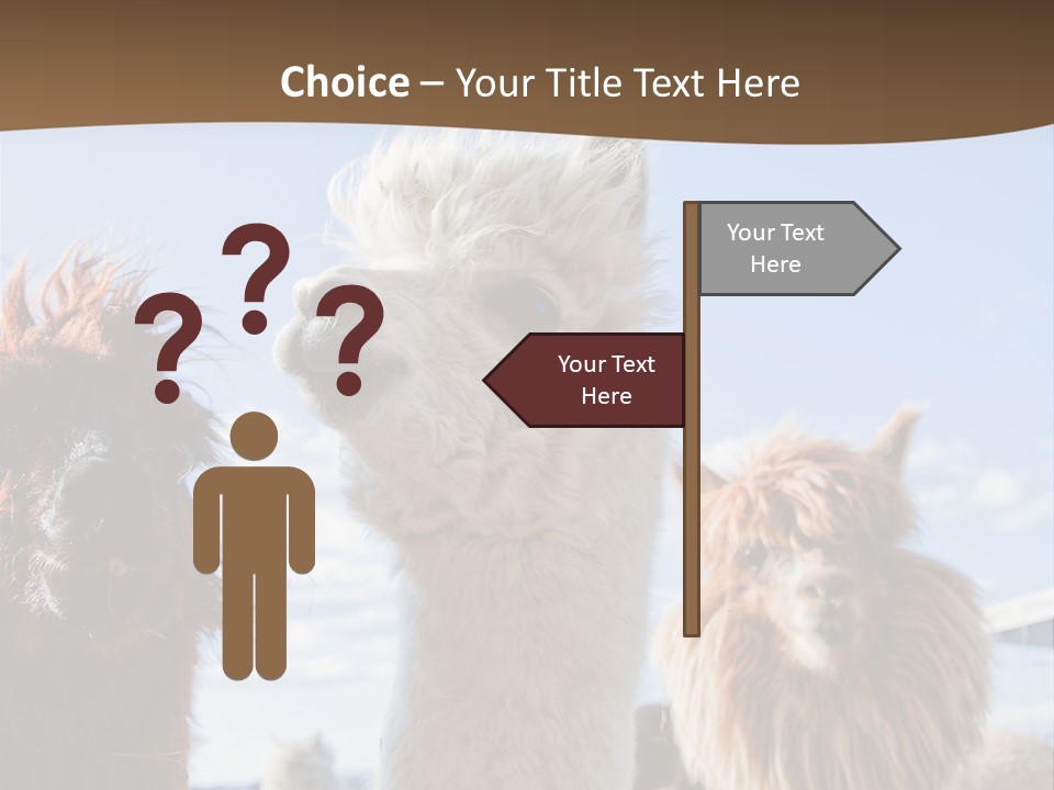 Color Day Cuddly PowerPoint Template