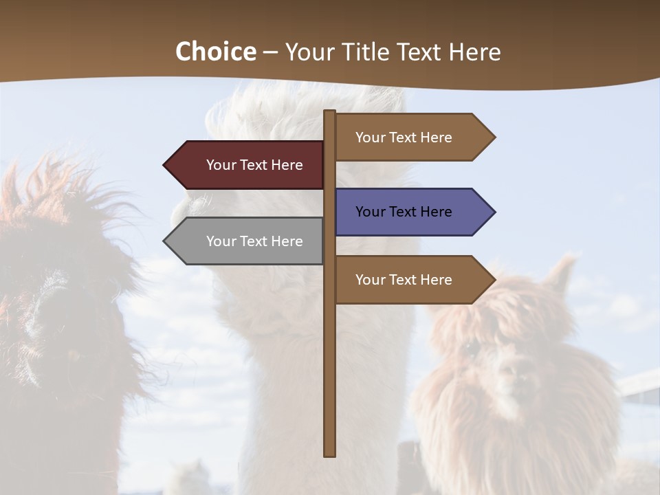 Color Day Cuddly PowerPoint Template