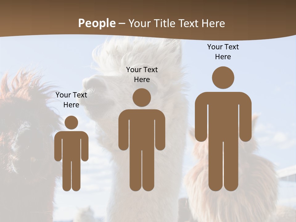 Color Day Cuddly PowerPoint Template