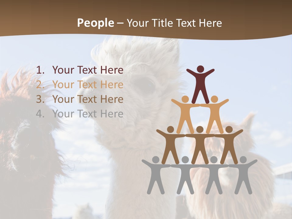 Color Day Cuddly PowerPoint Template