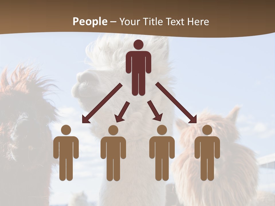 Color Day Cuddly PowerPoint Template