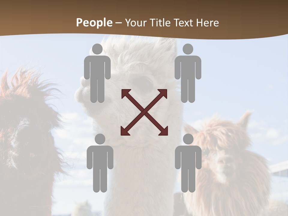 Color Day Cuddly PowerPoint Template