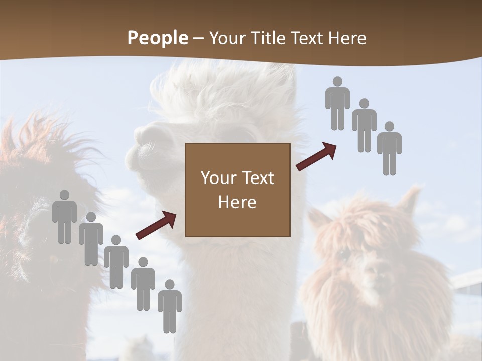 Color Day Cuddly PowerPoint Template