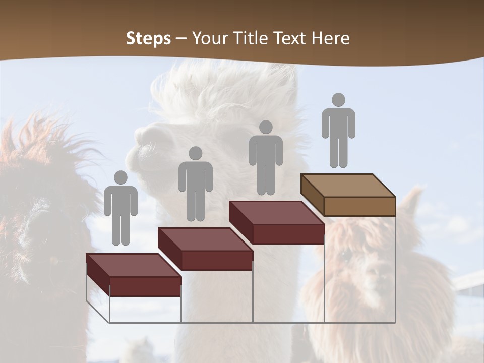 Color Day Cuddly PowerPoint Template