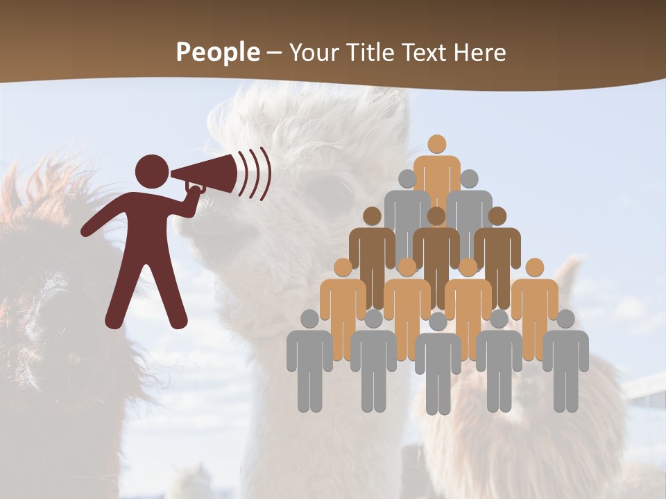 Color Day Cuddly PowerPoint Template