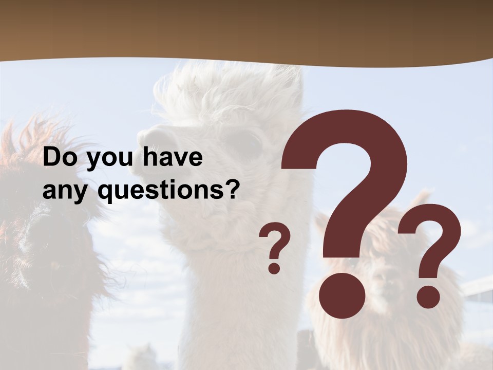 Color Day Cuddly PowerPoint Template