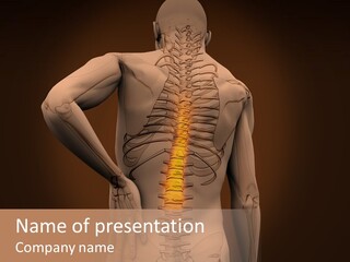 Transparent Body Spine PowerPoint Template
