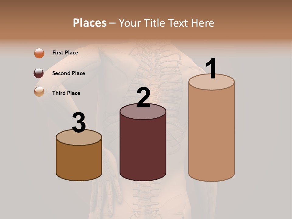 Transparent Body Spine PowerPoint Template