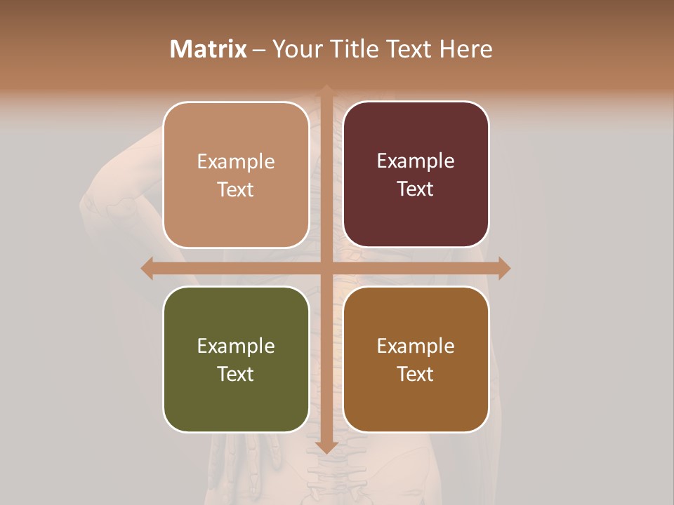 Transparent Body Spine PowerPoint Template