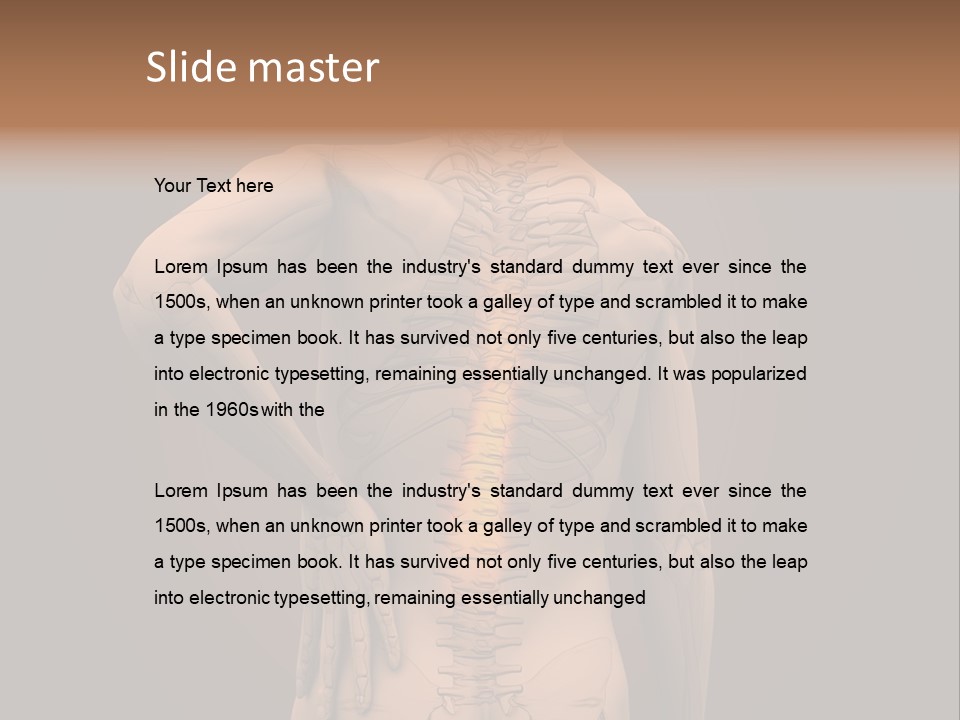 Transparent Body Spine PowerPoint Template
