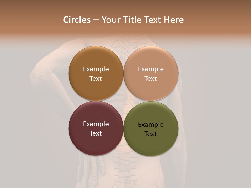 Transparent Body Spine PowerPoint Template