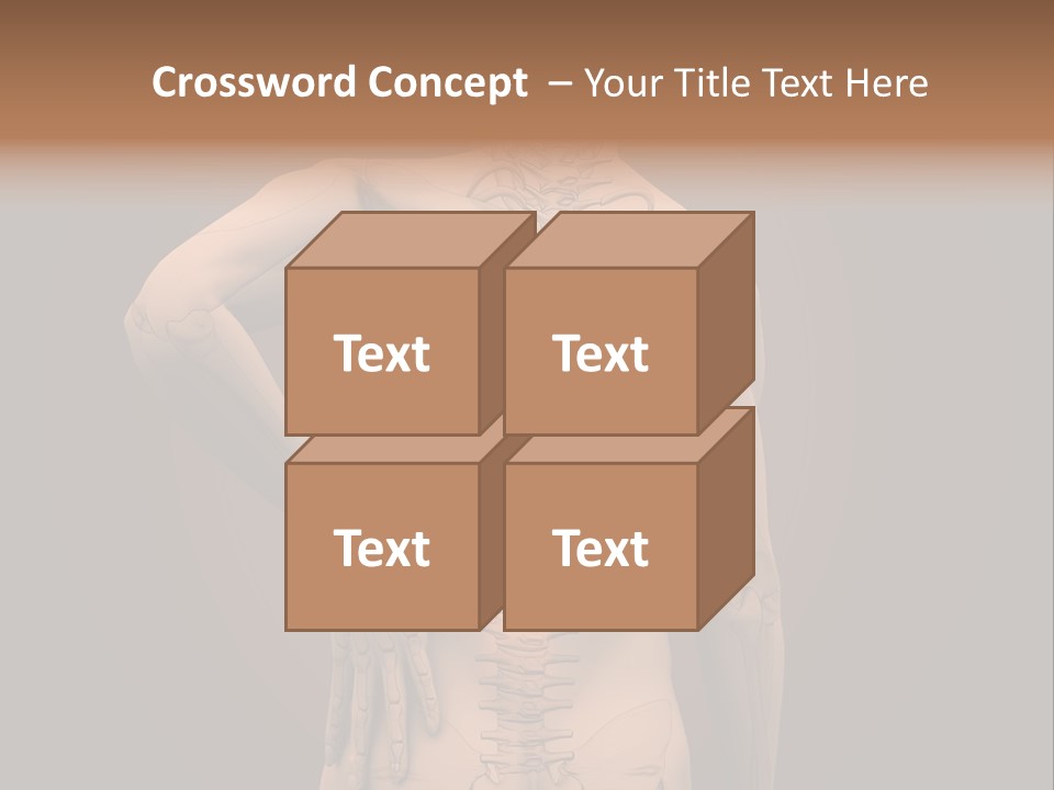 Transparent Body Spine PowerPoint Template