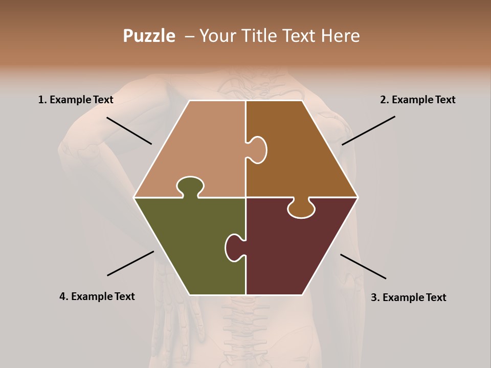Transparent Body Spine PowerPoint Template