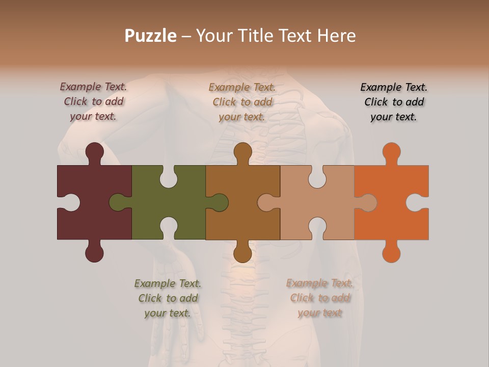 Transparent Body Spine PowerPoint Template