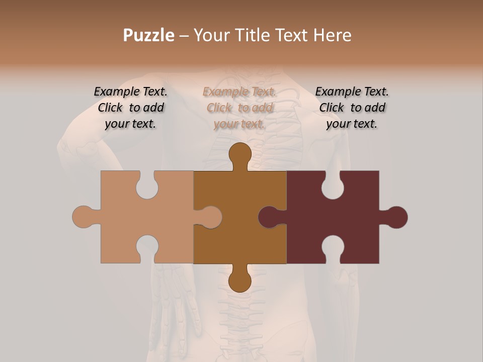 Transparent Body Spine PowerPoint Template