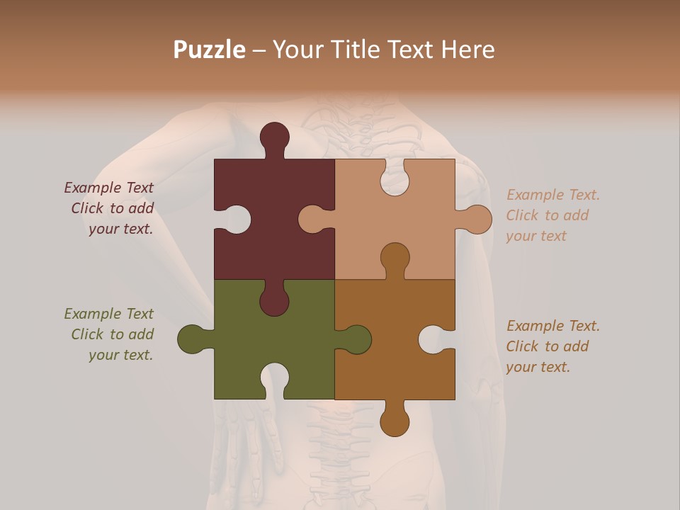 Transparent Body Spine PowerPoint Template