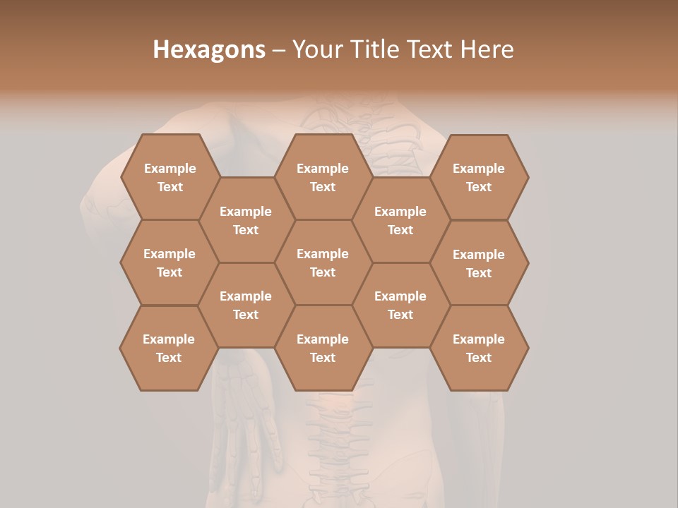 Transparent Body Spine PowerPoint Template