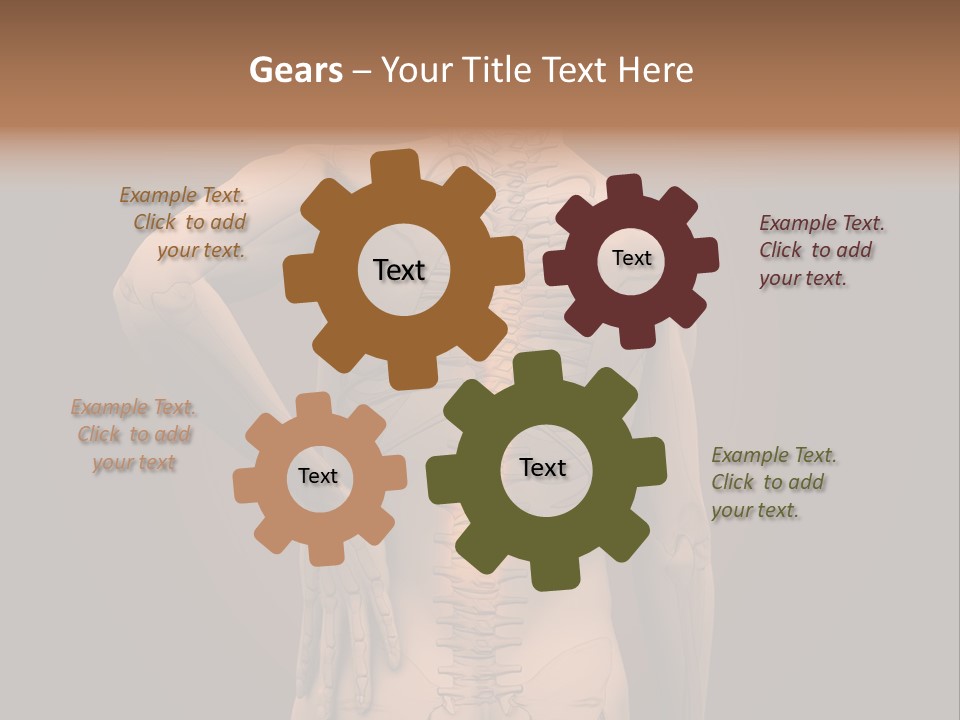 Transparent Body Spine PowerPoint Template