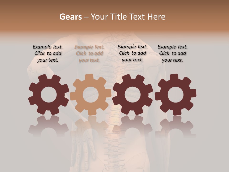 Transparent Body Spine PowerPoint Template