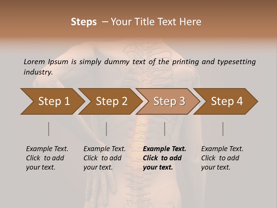 Transparent Body Spine PowerPoint Template