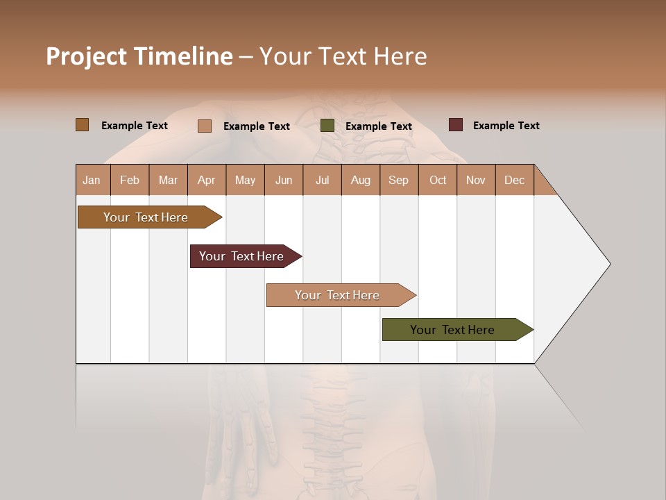 Transparent Body Spine PowerPoint Template