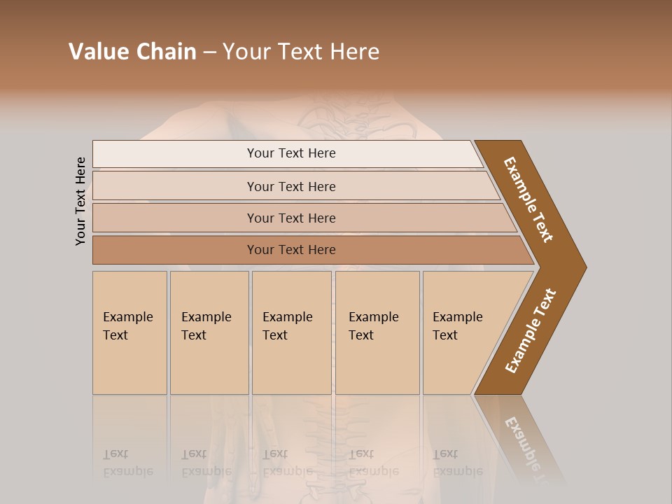 Transparent Body Spine PowerPoint Template
