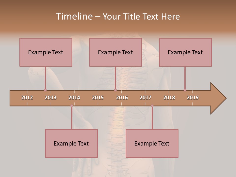 Transparent Body Spine PowerPoint Template