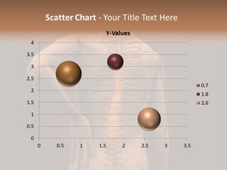 Transparent Body Spine PowerPoint Template