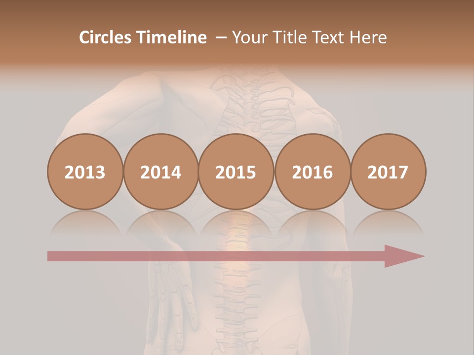 Transparent Body Spine PowerPoint Template