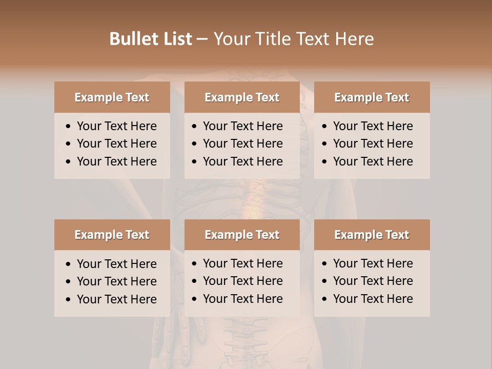 Transparent Body Spine PowerPoint Template