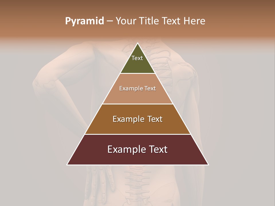 Transparent Body Spine PowerPoint Template